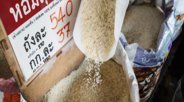 Dư thừa gạo làm dấy lên cuộc chiến giá cả ở các nước Châu Á