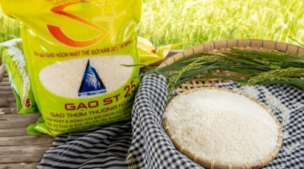 Giá gạo của Việt Nam ổn định và đang ở mức cao nhất trong nhóm các nước xuất khẩu gạo