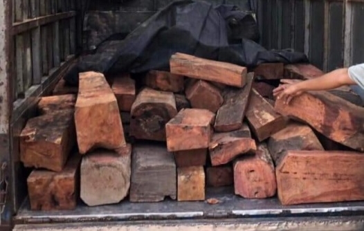 Công an tỉnh Quảng Trị bắt giữ phương tiện vận chuyển 1,5 tấn gỗ hương không rõ nguồn gốc