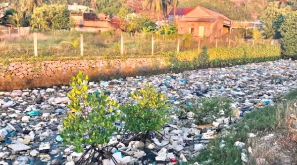 Quảng Ngãi: Xã vùng biển Tịnh Kỳ, nhặt hơn 400 tấn rác thải