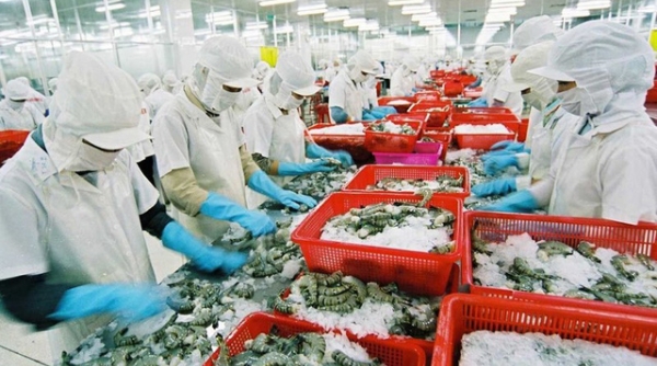 Việt Nam trở thành đối tác thương mại hàng hóa lớn nhất của Liên minh Châu Âu - EU