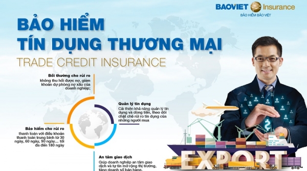 Bảo hiểm Bảo Việt và VCCI bàn giải pháp bảo vệ tài chính hữu hiệu cho doanh nghiệp