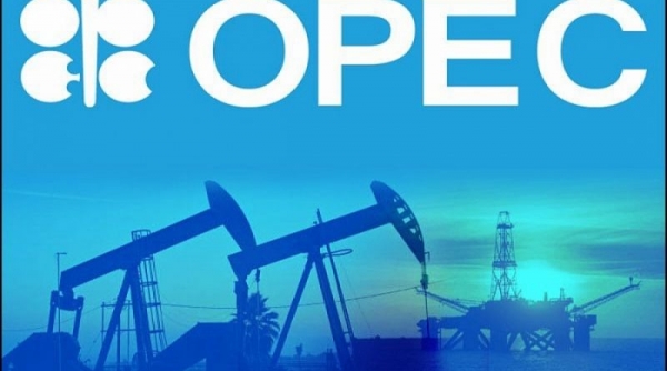 OPEC điều chỉnh giảm tăng trưởng kinh tế toàn cầu và nhu cầu dầu mỏ năm 2022