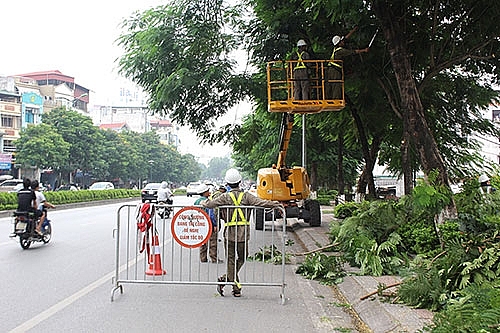 Hà Nội tiến hành cắt tỉa cây xanh để hạn chế gãy, đổ trong mùa mưa bão