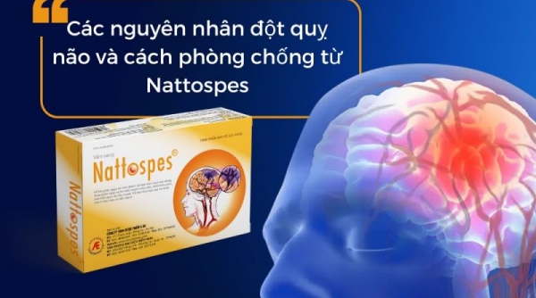 Các nguyên nhân đột quỵ não và cách phòng chống từ Nattospes