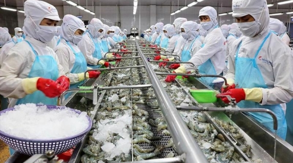 Việt Nam là nước xuất khẩu thủy sản lớn thứ hai thế giới sau Trung Quốc vào năm 2030