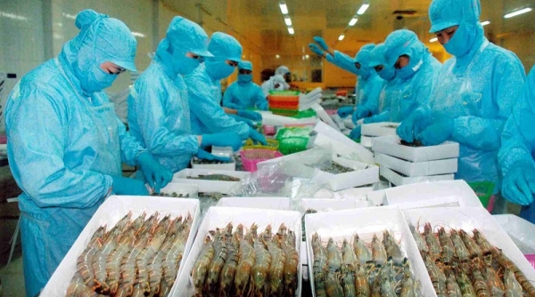 Cập nhật danh sách các doanh nghiệp thủy sản Việt Nam được phép xuất khẩu sang Đài Loan