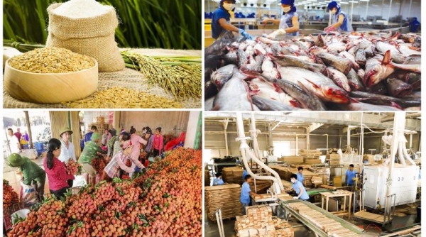 09 tháng đầu năm, giá trị xuất siêu nông, lâm, thủy sản ước đạt 6,9 tỷ USD