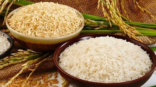 Sớm thỏa thuận hợp tác Thái Lan và Việt Nam về tăng giá gạo xuất khẩu