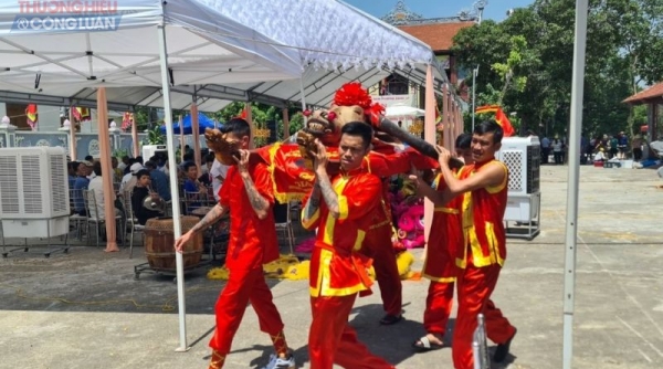 Phường Bàng La quận Đồ Sơn (Hải Phòng): Trang trọng tổ chức lễ tế thần hiến sinh trâu 08 vô địch năm 2022