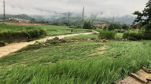 Mưa lớn gây nhiều thiệt hại tại Lào Cai