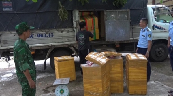 Phát hiện gần 400kg xương, thịt lợn bốc mùi vận chuyển lên biên giới tỉnh Quảng Trị