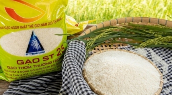 Thuế nhập khẩu và hạn ngạch dành cho gạo Việt Nam tại EU