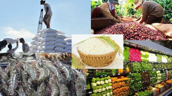 Tiềm năng cho nông sản Việt vào thị trường EU và Bắc Âu là rất lớn