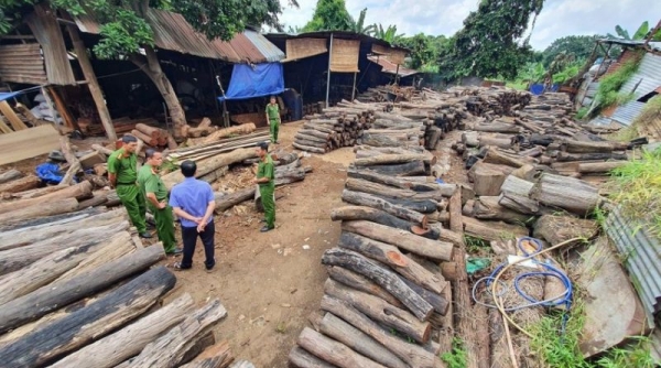 Phát hiện hơn 60 m3 gỗ không rõ nguồn gốc tập kết tại xưởng ngay thành phố Buôn Ma Thuột