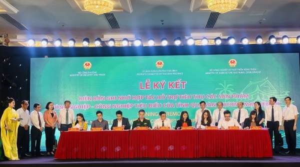 Ứng dụng thương mại điện tử kết nối tiêu thụ sản phẩm tiêu biểu của tỉnh Thái Bình