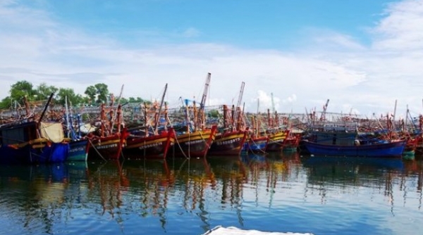 Quảng Bình hơn 6.000 tàu cá đã vào nơi trú bão số 4 an toàn