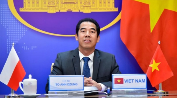 Khai trừ Đảng đối với ông Tô Anh Dũng, Nguyễn Quang Linh