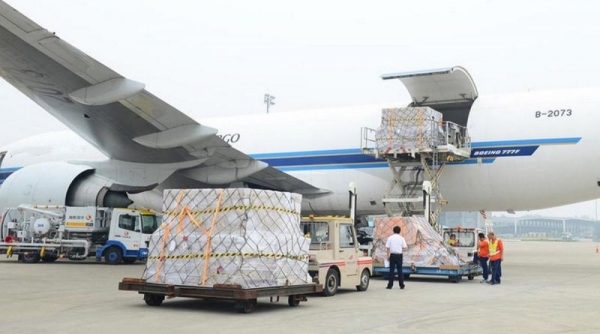 Bộ GTVT kiến nghị Thủ tướng cho phép cấp giấy phép kinh doanh Hãng hàng không IPP Air Cargo