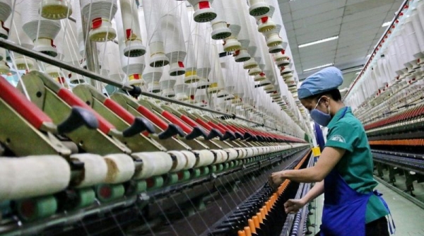 Ngày hội Cotton Day Vietnam 2022 sẽ được tổ chức trực tiếp vào ngày 4/10