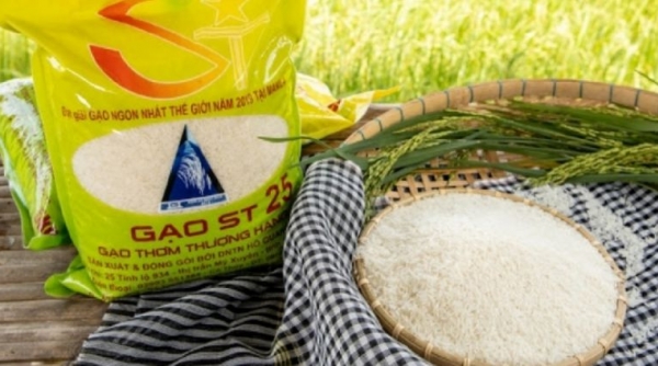 Mặt bằng giá gạo của Việt Nam tăng khoảng 40 - 50 USD/tấn