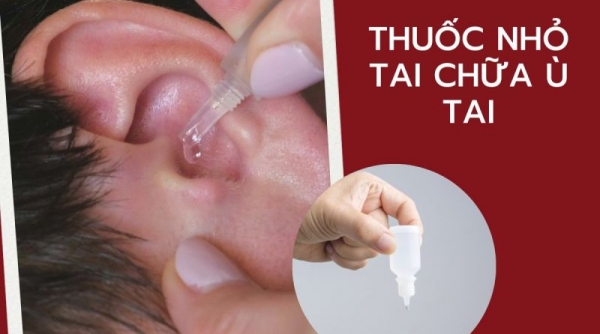 Các thuốc nhỏ tai khi bị ù tai thường dùng và lưu ý khi sử dụng