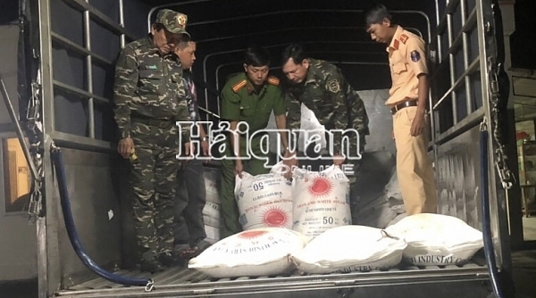 Hải quan Đồng Tháp bắt giữ vụ vận chuyển 2.550 kg đường nhập lậu