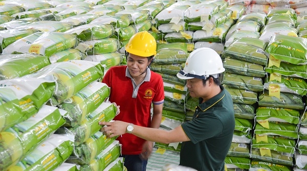 Trên 80% gạo xuất khẩu của Việt Nam tập trung vào phân khúc gạo cao cấp