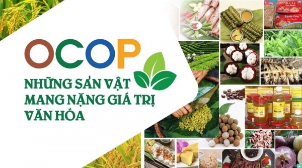 Chương trình OCOP nâng chất lượng sản phẩm nông sản Việt như thế nào?