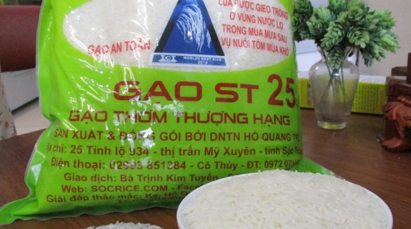 Hôm nay, ngày 12/10, giá gạo tăng 100 – 150 đồng/kg