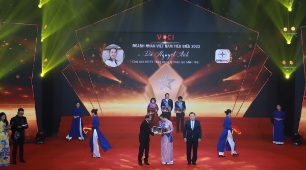 Bà Đỗ Nguyệt Ánh - Chủ tịch Hội đồng thành viên Tổng công ty Điện lực miền Bắc được vinh danh Doanh nhân tiêu biểu Việt Nam 2022