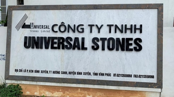 Dừng làm thủ tục hải quan với Công ty Universal Stones do nợ thuế hơn 4,8 tỷ đồng