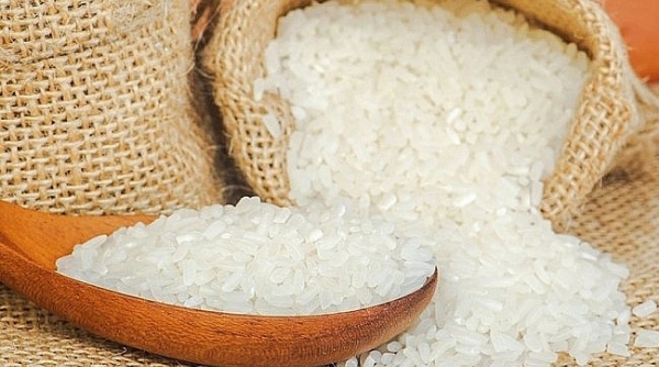 Xuất khẩu gạo có nhiều tín hiệu tích cực trong những tháng cuối năm