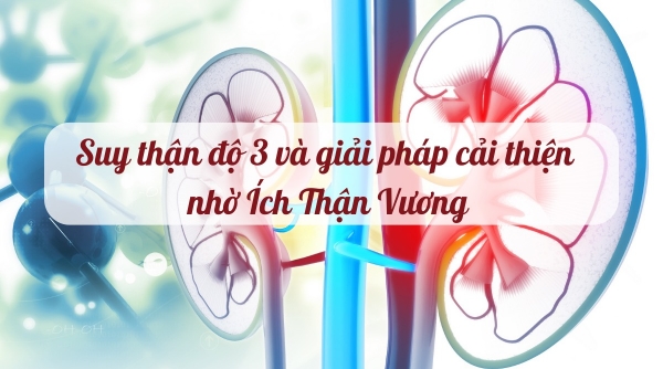 Suy thận độ 3 và giải pháp cải thiện nhờ Ích Thận Vương