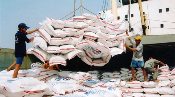 Giá gạo xuất khẩu trên thế giới tăng 10 USD/tấn
