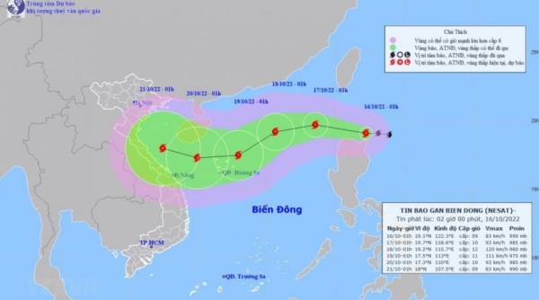 Triển khai nhiều biện pháp phòng, chống bão Nesat tại Quảng Nam
