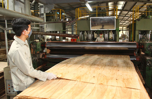 Gia Lai phát triển ngành công nghiệp chế biến gỗ theo hướng bền vững