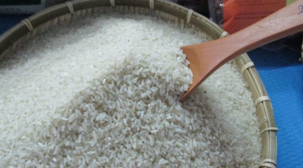 Giá gạo tiếp tục tăng từ 100-150 đồng/kg