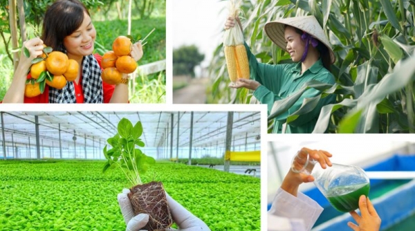 Sản phẩm xanh, nông sản hữu cơ Việt Nam chinh phục thị trường EU