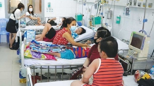 TP. HCM: Triển khai quy trình báo động đỏ đối với bệnh nhân Sốt xuất huyết Dengue