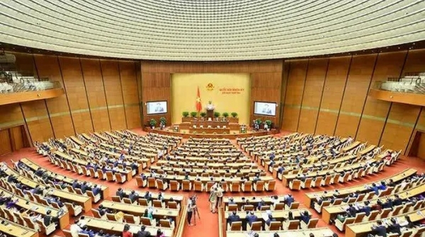 Quốc hội xem xét, phê chuẩn miễn nhiệm Bộ trưởng Bộ Giao thông vận tải; miễn nhiệm Tổng Kiểm toán Nhà nước
