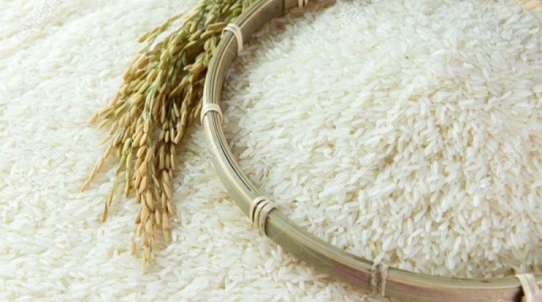 Mỹ tăng nhập khẩu gạo, tín hiệu vui cho xuất khẩu gạo Việt Nam