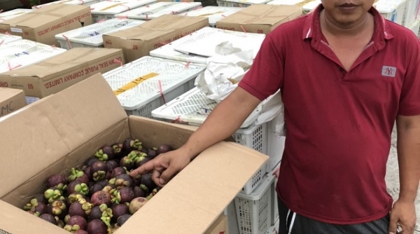 Khởi tố đối tượng buôn lậu trái cây tại Long An