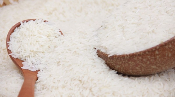 Xuất khẩu gạo cuối năm có nhiều tín hiệu tích cực, lượng đơn hàng nhiều hơn