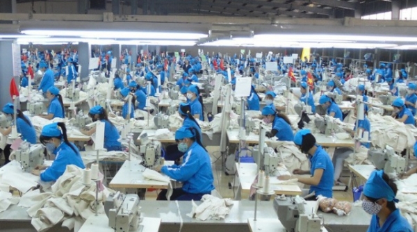 Doanh nghiệp xuất khẩu Nghệ An trước cơ hội tiếp cận thị trường Hàn Quốc