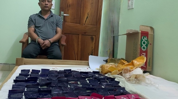 Thu giữ gần 20.000 viên ma túy tổng hợp tại Thanh Hóa