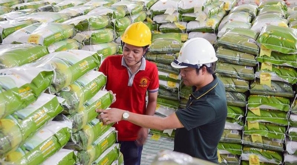 Nguồn cung giảm, giá lúa gạo tăng mạnh, có mặt hàng tăng 1.000 đồng/kg