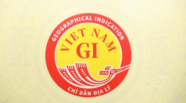 Biểu trưng chỉ dẫn địa lý quốc gia Việt Nam