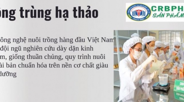 Đông trùng hạ thảo CRBPHARM - Thương hiệu Việt được nhiều người Việt tin dùng