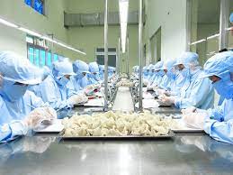 Việt Nam hoàn tất ký Nghị định thư xuất khẩu tổ yến sang Trung Quốc